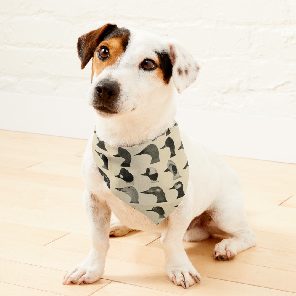 Vintage Duck Heads Pet Bandana