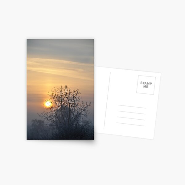 Winter morn. Postcard