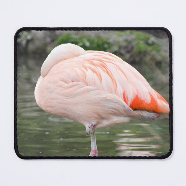 Item preview, Sleeping Pink Flamingo designed and sold by Ksswaden.