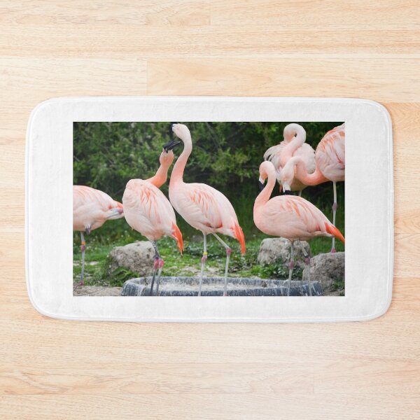 Item preview, Flamboyance designed and sold by Ksswaden.