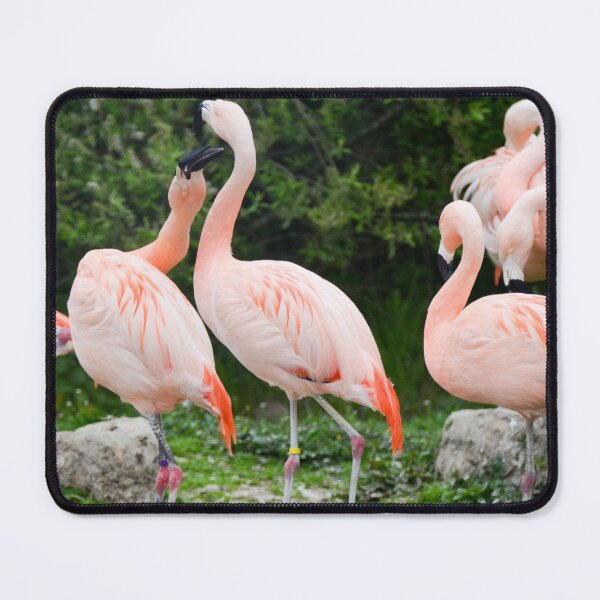 Item preview, Flamboyance designed and sold by Ksswaden.