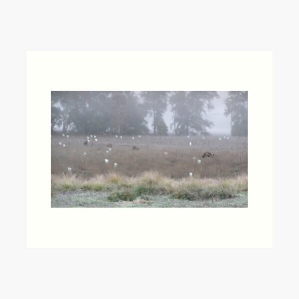 Item preview, Emu Parade 5.15 am Cold  Foggy Morning in the Warrumbungles designed and sold by ginnymac.