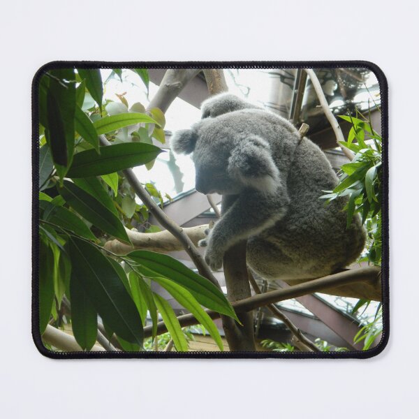 Item preview, sleep as Koala designed and sold by Eikia.