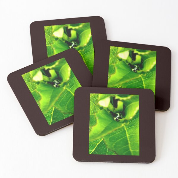 Item preview, Leafing to Another World designed and sold by FrankieLassut.