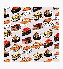Lámina fotográfica Gato Persa Sushi