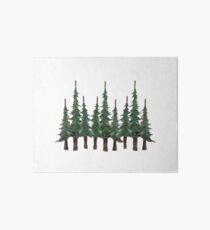 The Evergreens Art Board
