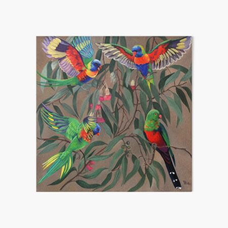 Birds from Paradise. Rosellas Art Board Print