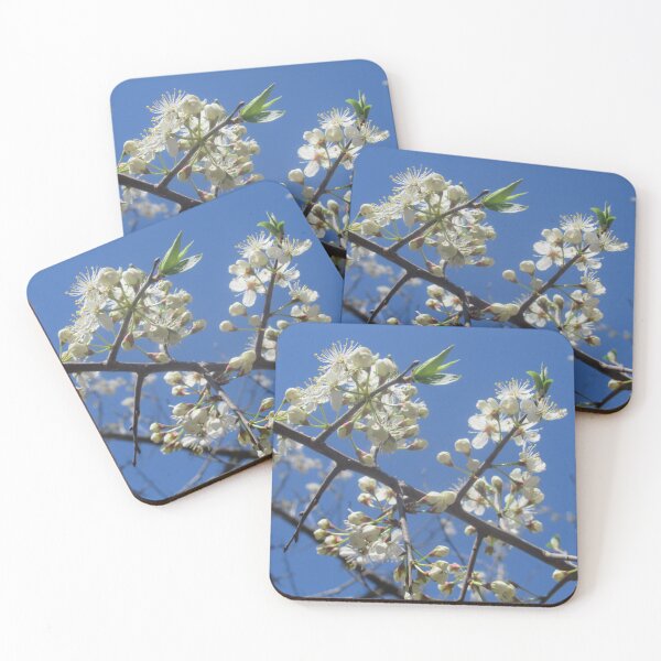 Item preview, White blossoms, blue sky designed and sold by SarahZenith.