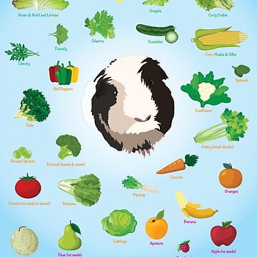 Fruits and vegetables good for guinea pigs hotsell