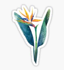 Watercolor strelitzia bouquet Sticker