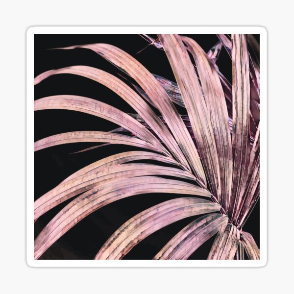 Large Retro Floral Palm Leaves Black Peach Sticker