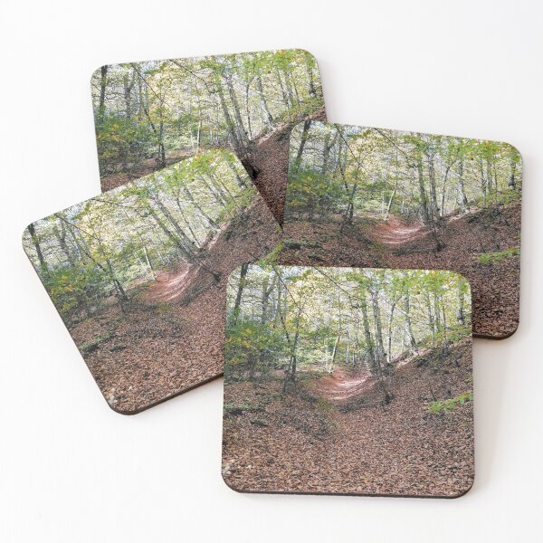 Item preview, Forest designed and sold by Unal-Plays.