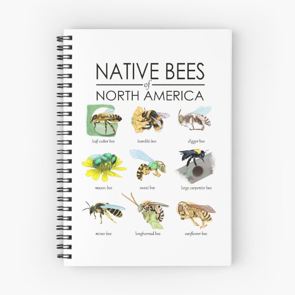 Item preview, native bees of north america designed and sold by Katie McElroy.