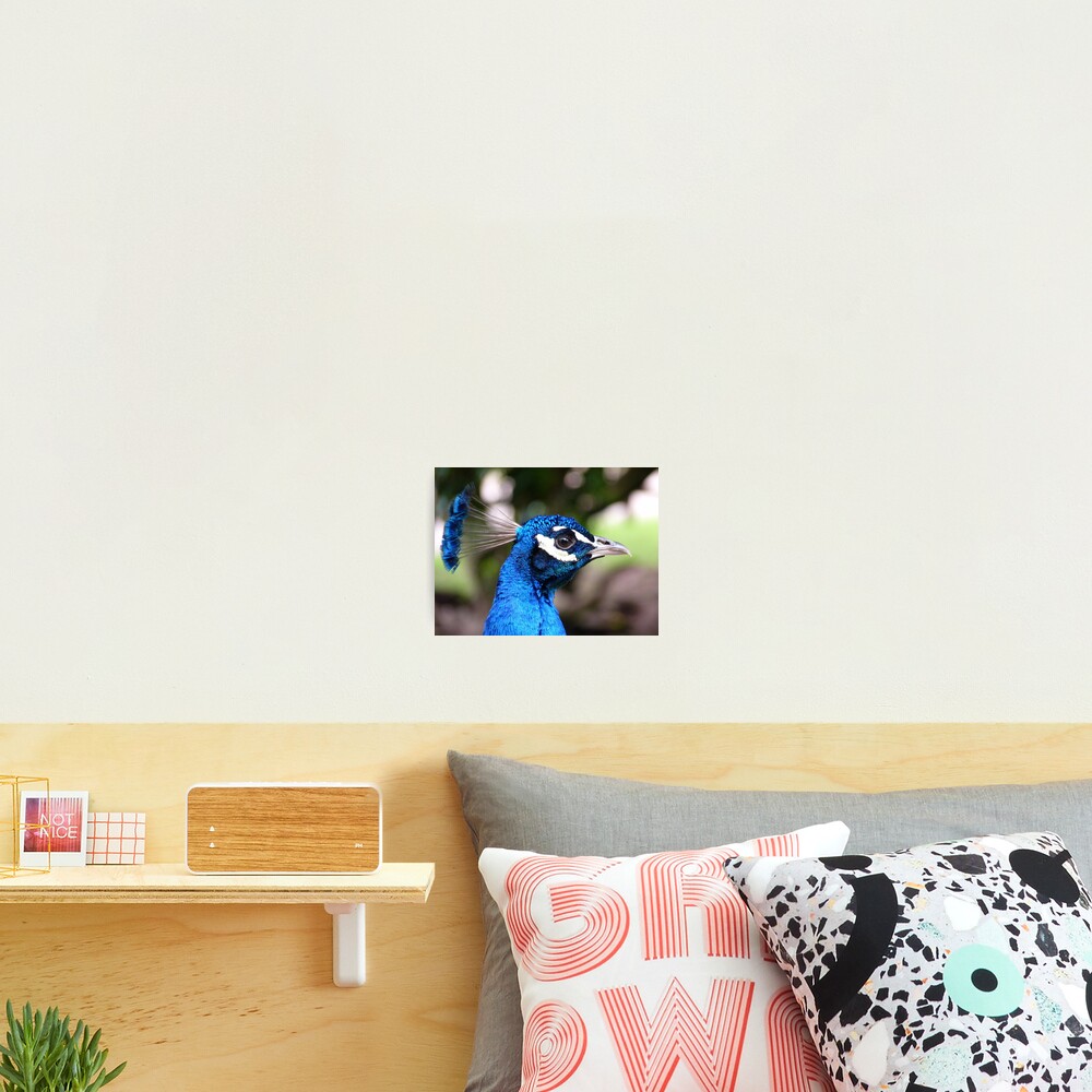Item preview, Photographic Print designed and sold by acespace.