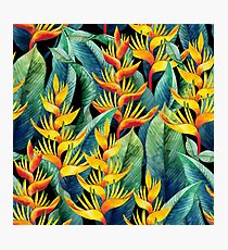 Aquarell Helikonia Fotodruck
