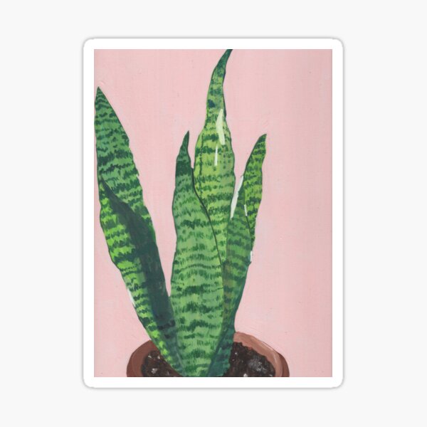 Item preview, Snake Plant designed and sold by ashleyriveraart.