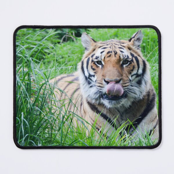 Item preview, Tiger licking his lips designed and sold by Ksswaden.