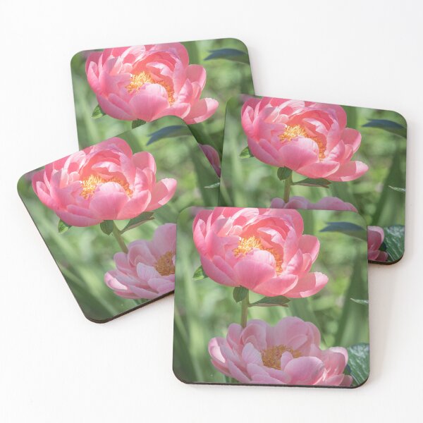 Item preview, Seeking the Sun Salmon Pink Garden Peony designed and sold by nancyjcreates.