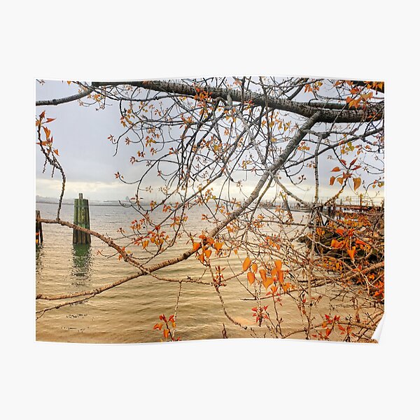 Brown leaves NYC fall Poster