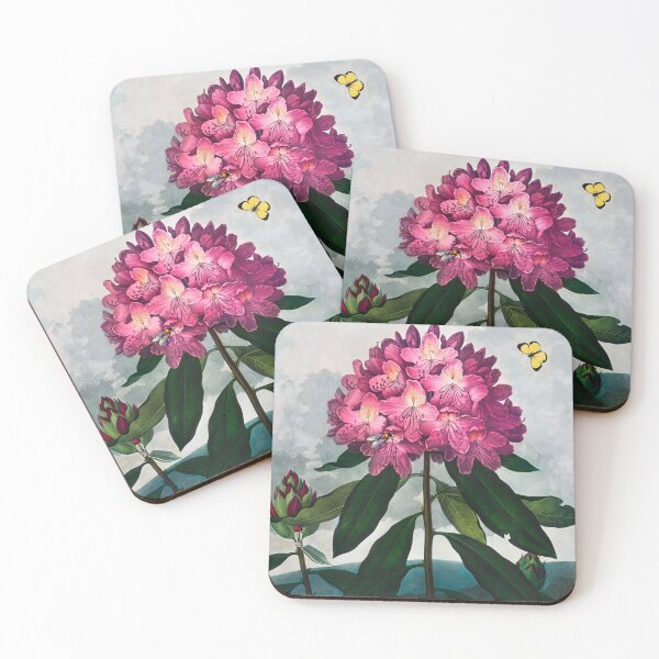 Item preview, Vintage Rhododendrons Illustration  designed and sold by jadeandjester.