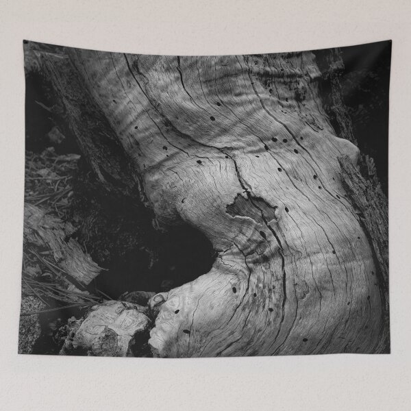 Item preview, History #2 designed and sold by Douglas E. Welch Design and Photography.