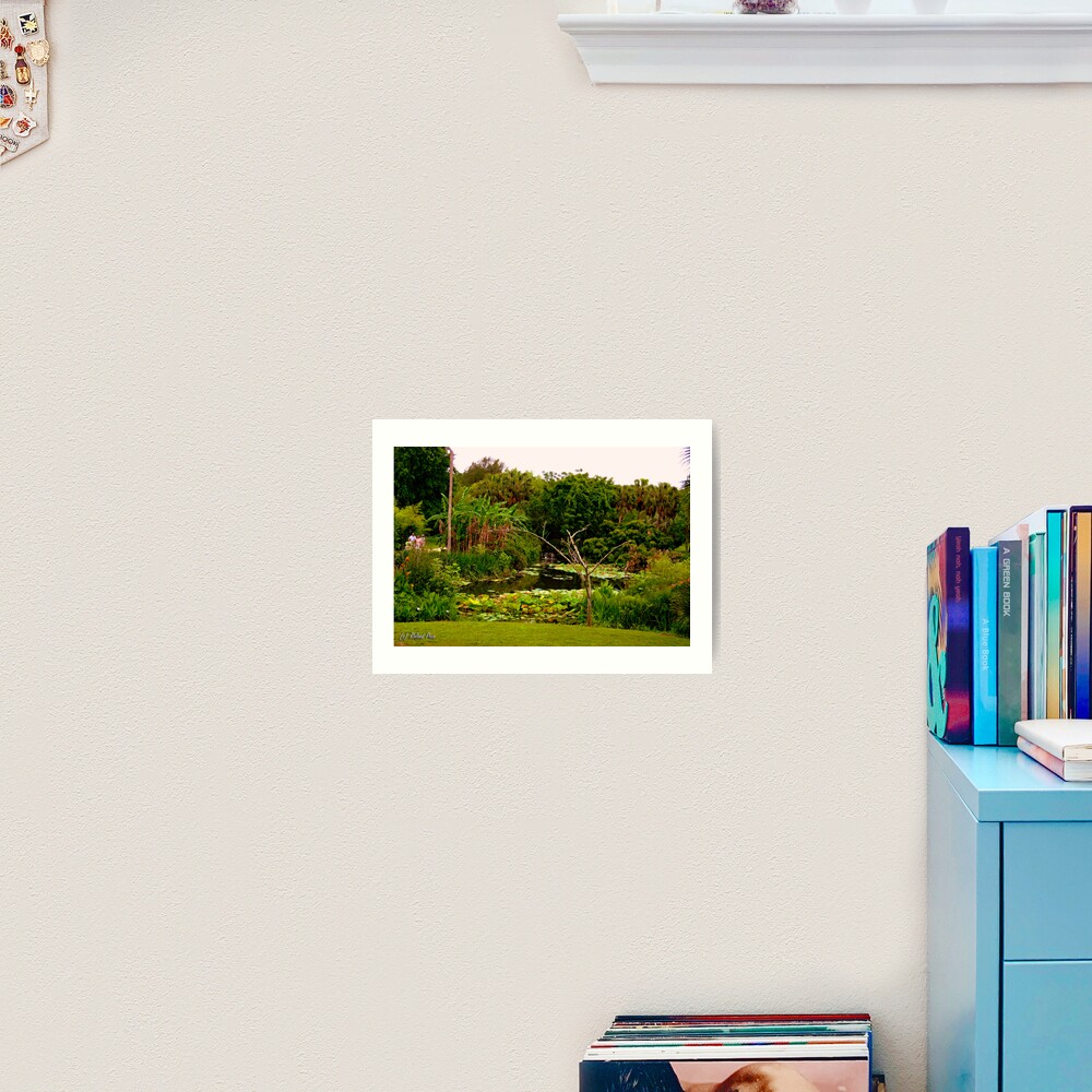 Lakeside Stroll Art Print