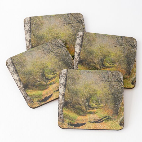 Item preview, Forest path designed and sold by AHELENE.
