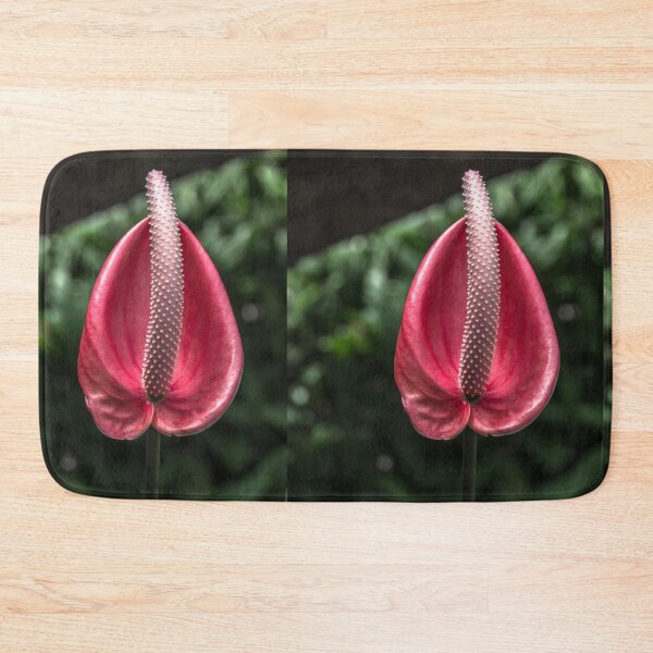 Item preview, red anthurium. designed and sold by Nino rocha fotografia.