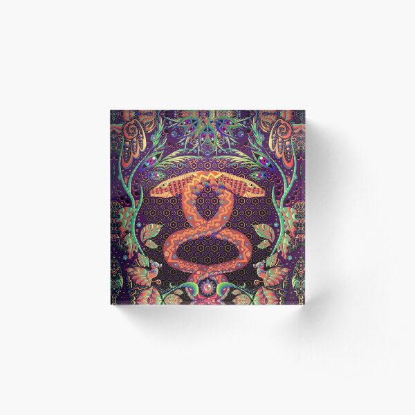 Psychedelic Ayahuasca snake spirit Acrylic Block