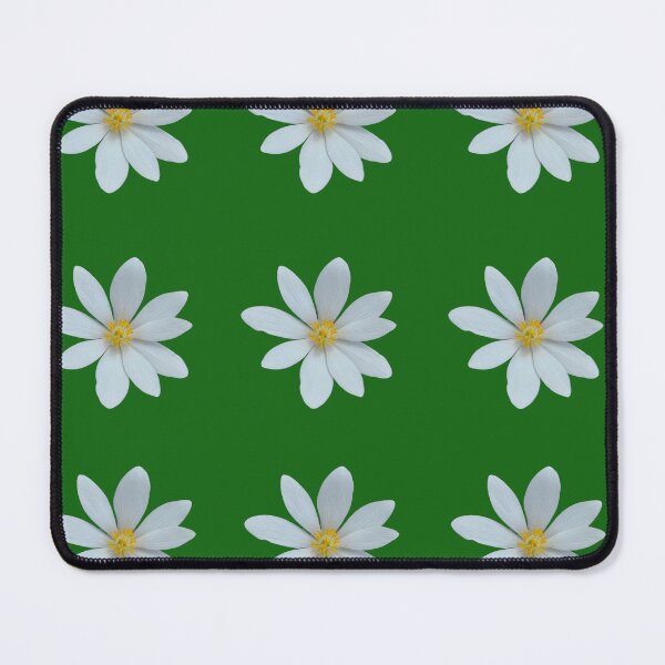 Item preview, Bloodroot Flower designed and sold by SilviPavlova.