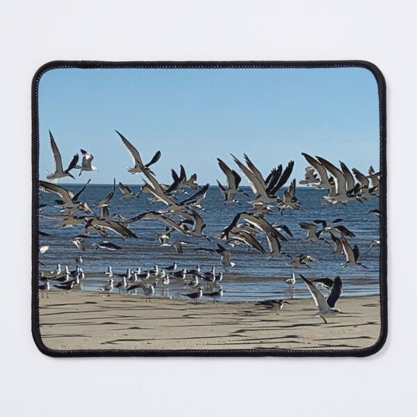 Item preview, The flight designed and sold by Pearls1.