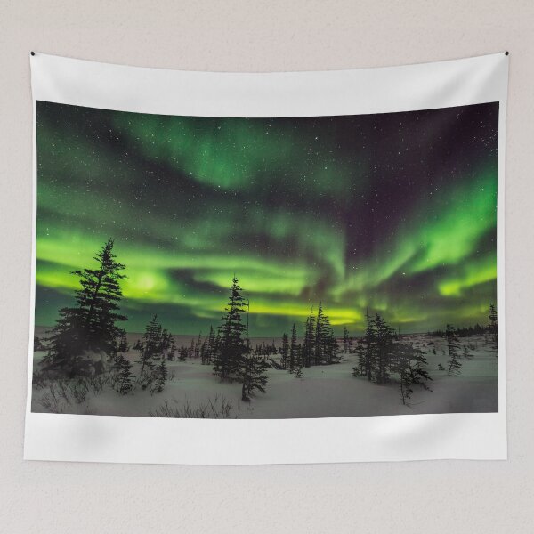 Item preview, Aurora Borealis Over Hudson Bay designed and sold by Brent Hussin.