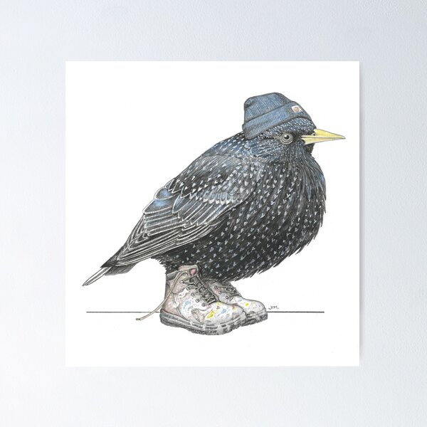 Item preview, Starling in Work Boots designed and sold by JimsBirds.