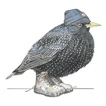 Artwork thumbnail, Starling in Work Boots by JimsBirds