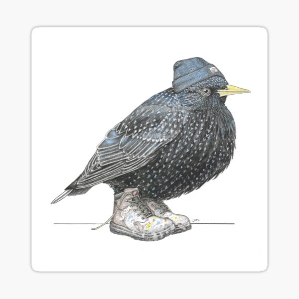 Item preview, Starling in Work Boots designed and sold by JimsBirds.