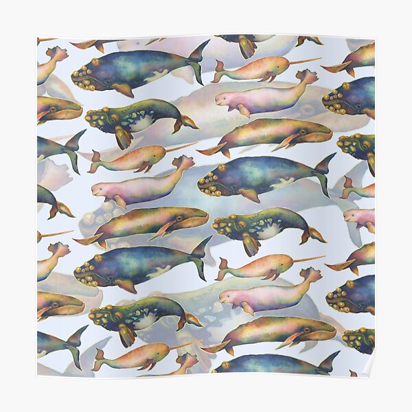 5 Whales Doubled Poster