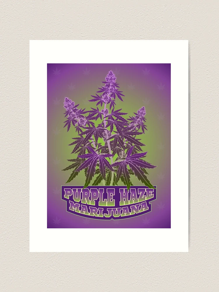 アート・デザイン・音楽 CANNABIS HIGH stoner advisory extreme high weed and marijuana typography