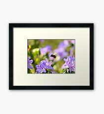" Azalea Honey " Framed Print