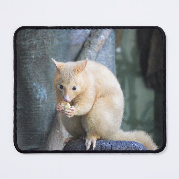 Item preview, Golden Brushtail Possum designed and sold by LeanneAllen.