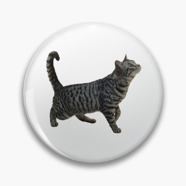 Item preview, grey cat designed and sold by nothing rhymes with orange.