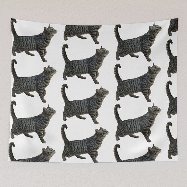 Item preview, grey cat designed and sold by nothing rhymes with orange.
