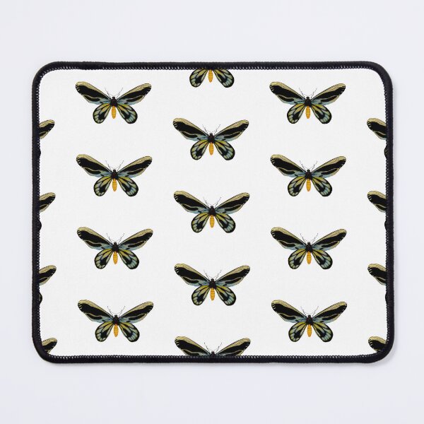 Item preview, Queen Alexandra’s Birdwing Butterfly Watercolor designed and sold by NikaIllustrates.