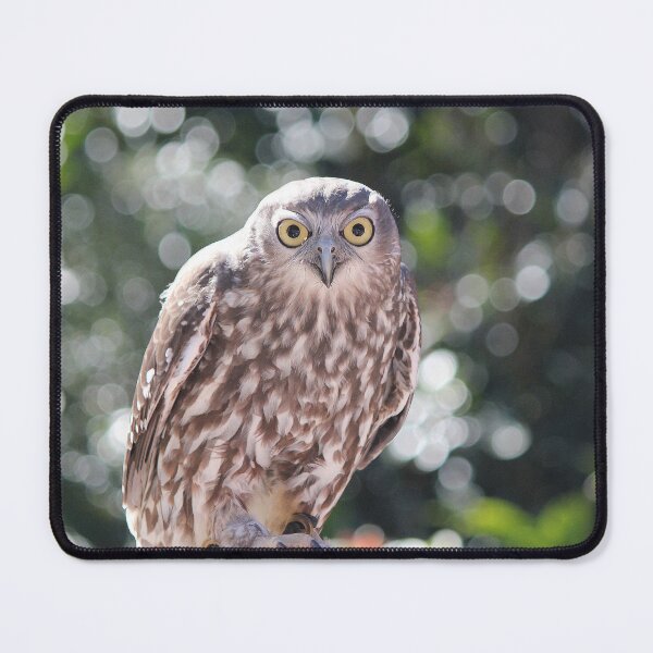 Item preview, Eye Contact designed and sold by LeanneAllen.