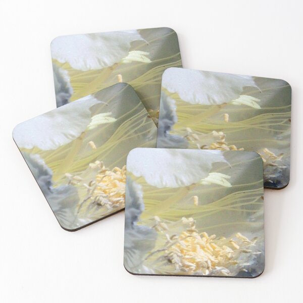 Item preview, Cactus Flower - Fluff N Stuff  designed and sold by Michael May.
