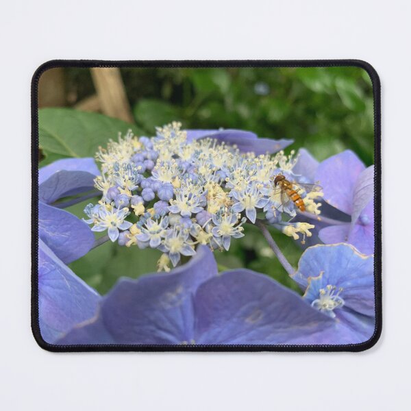 Item preview, Bue Hydrangea designed and sold by cynalee.