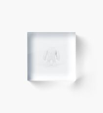 Wampa Acrylic Block