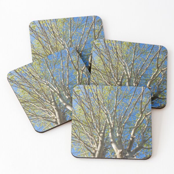 Item preview, Maple Tree  designed and sold by SilviPavlova.