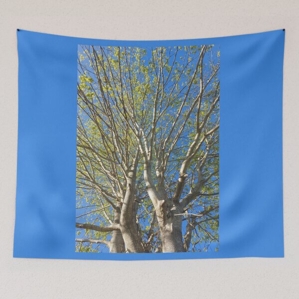 Item preview, Maple Tree  designed and sold by SilviPavlova.