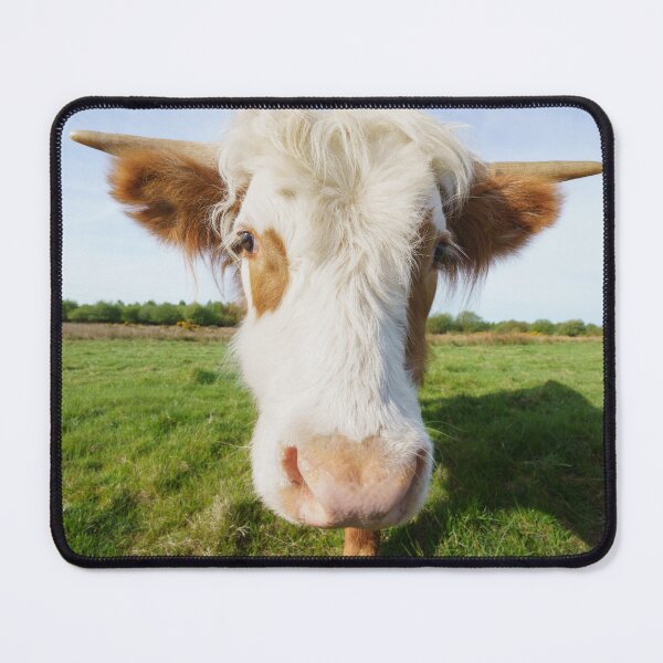 Item preview, Highland Cow Getting Close designed and sold by rawshutterbug.