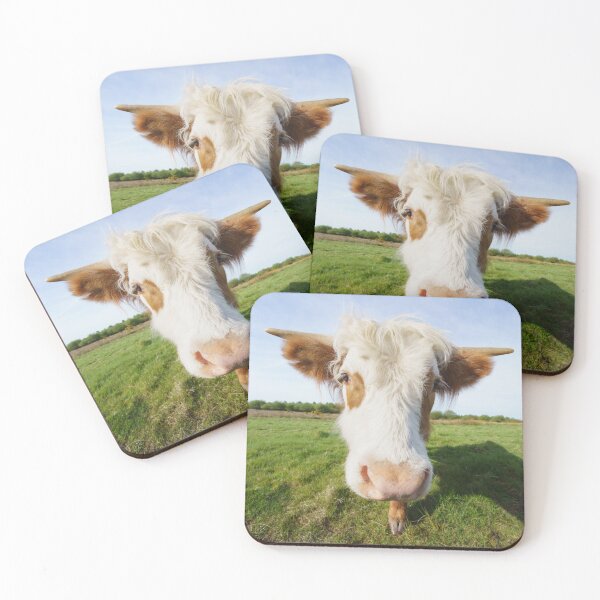 Item preview, Highland Cow Getting Close designed and sold by rawshutterbug.